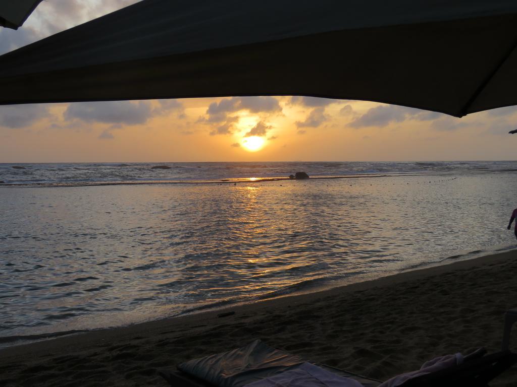 Paradise Bay 贝鲁沃勒 外观 照片